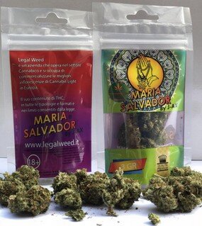 Moar Svapo a Fabriano Cannabis light J-Ax e Legal Weed