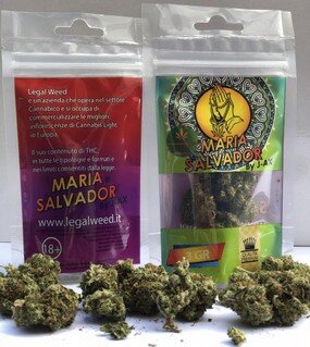 Moar Svapo a Fabriano Cannabis light J-Ax e Legal Weed Moar Svapo a Fabriano Cannabis light J-Ax e Legal Weed